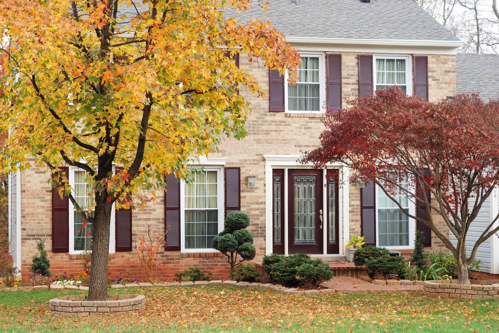 Residential home with multiple glass windows framed by colourful autumn trees.