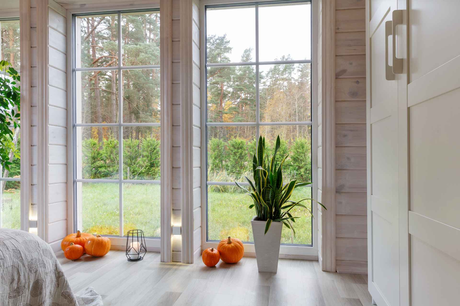 Bright white bedroom with large door-sized windows overlooking woods with pumpkins and a snake plant.